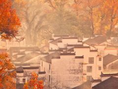 -塔川景区