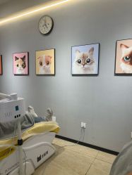 -洗脸猫·洗脸吧