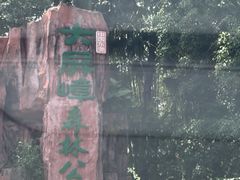 -大屏嶂森林公园