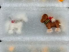 -沈阳奥体冰雪嘉年华