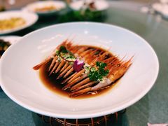 -碧丽宫大酒店(召稼楼店)