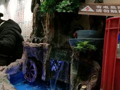-董厨煨汤馆(车站路店)
