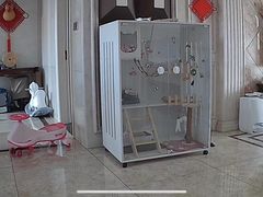 -贝康宠物医院·犬猫全科·小动物特色诊疗中心(东环路店)