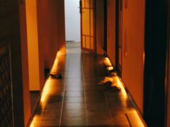 -木兰逸•泰式按摩•头疗•SPA(车公庙店)