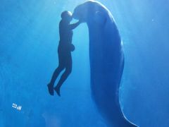 -多彩贵州城极地海洋世界