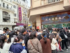 -沈大成(南京东路店)