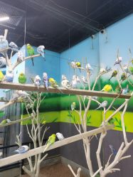 -未来动物城主题公园(正弘城店)