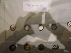 -沈阳金融博物馆