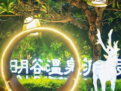 -厦门日月谷温泉渡假村