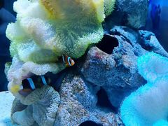 -太平洋海底世界