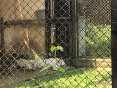 -合肥野生动物园