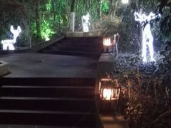 -宝莱纳啤酒花园餐厅PAULANER BRAUHAUS Nanjing(广州路店)