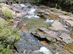 -广州白江湖森林公园