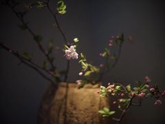 -见山茶事(丽水路店)