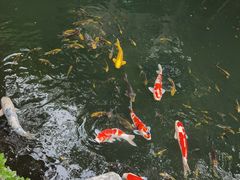 -新荣记(西溪湿地店)