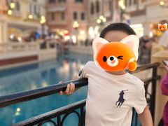 -澳门威尼斯人综合度假区