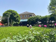-龙坞茶村