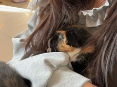 -平行世界·猫咖(首经贸店)