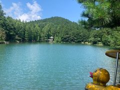 -四明山国家森林公园