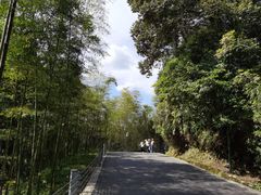 -中国大熊猫保护研究中心雅安碧峰峡基地