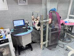 -宠福鑫康馨动物医院·骨科·眼科