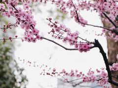 -静安雕塑公园