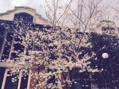-上海交通大学医学院附属瑞金医院(总院)