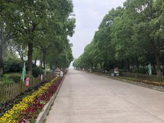 -上海都市菜园