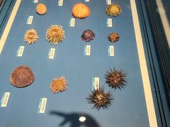 -浙江自然博物院(杭州馆)