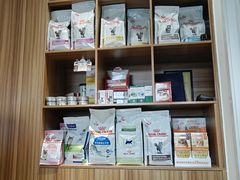 -御宝贝·A梦猫科宠物医院(国际猫友好医院)