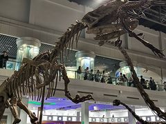 -自贡恐龙博物馆