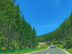 -塞罕坝国家级自然保护区