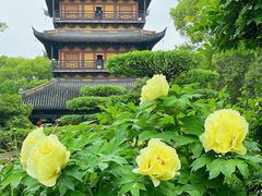 -常熟方塔园