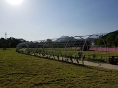 -水底山庄园温泉