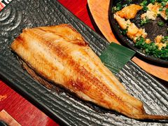 -九州酒场ひこぞう(1号店)