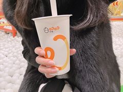 -CoCo都可(十全东店)