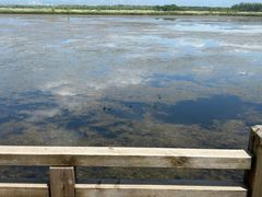 -野鸭湖国家湿地公园