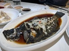 清蒸黑石斑-金春禧(世茂国际广场店)