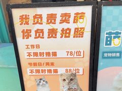 -飞行喵MR PILOT|猫舍·猫咖(静安大融城店)