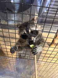 -酷嗒动物文化乐园(cutezoo西溪乐天城店)