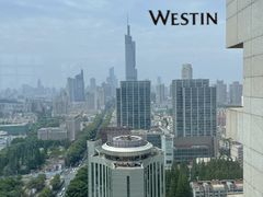 -湖景知味西餐厅•自助餐• 轻食(南京金茂威斯汀大酒店)