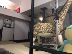 -奇怪的独角兽亲子理发沙龙