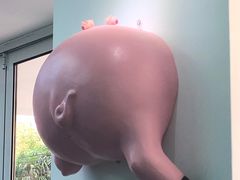 -Facepork脸猪·比脸大的猪排？