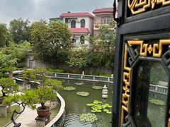 -碧江金楼