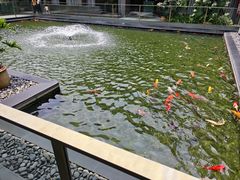 -太子园林酒家