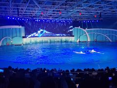 -海合安青岛极地海洋公园