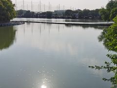 -渤公岛生态公园