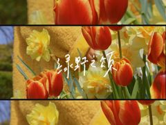 -苏州公园(双塔街道)