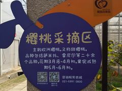 景点-菊园百果园