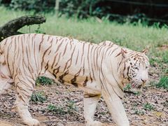 -杭州野生动物世界